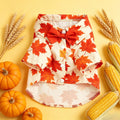 Maple Leaf Pet Shirt with Bowtie | Fall Thanksgiving Dog & Cat Apparel