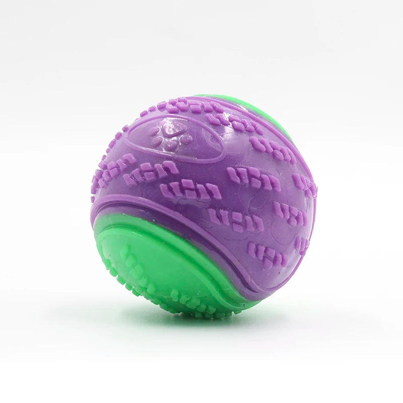 Squeaky TPR Dog Ball Toy