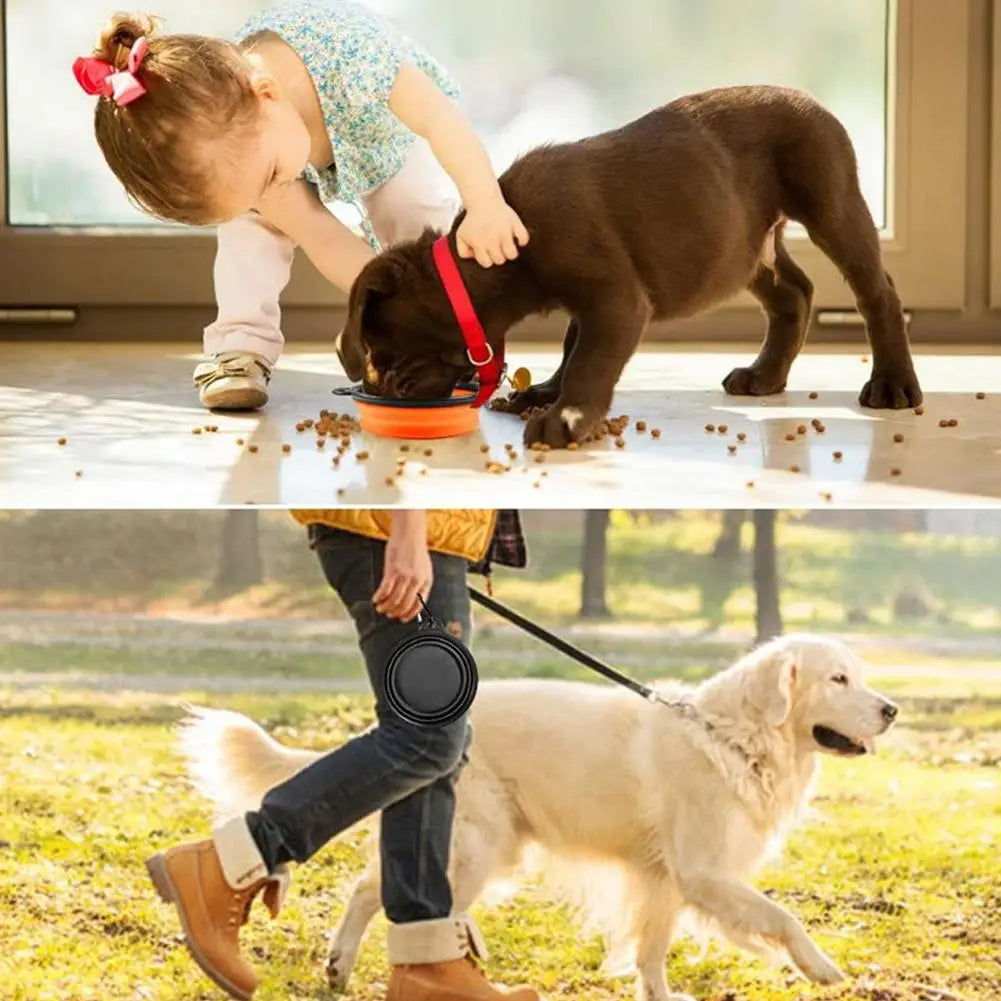 Collapsible Pet Travel Bowl with Carabiner Clip