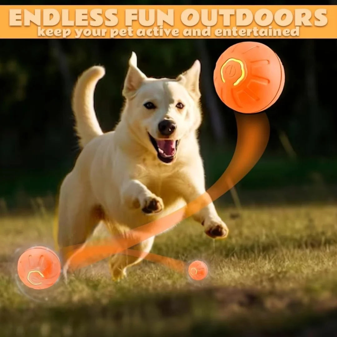 Electric Gravity Bouncing Ball for Pets