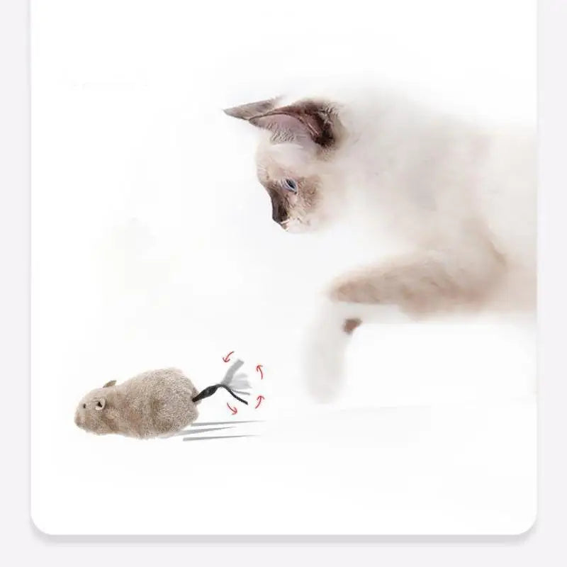 Lifelike Plush Mouse Toy for Cats & Dogs