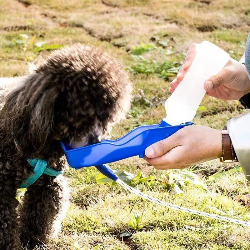 Travel Pet Water Bottle & Feeding Cup