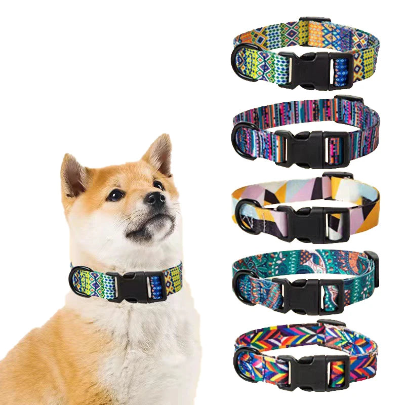 Bohemia Style Pet Collar & Leash Set