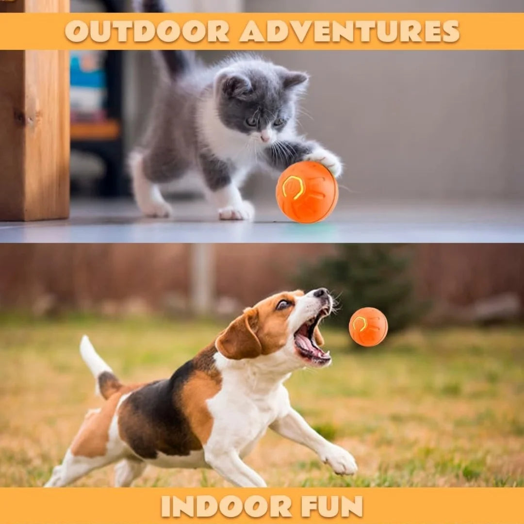 Electric Gravity Bouncing Ball for Pets