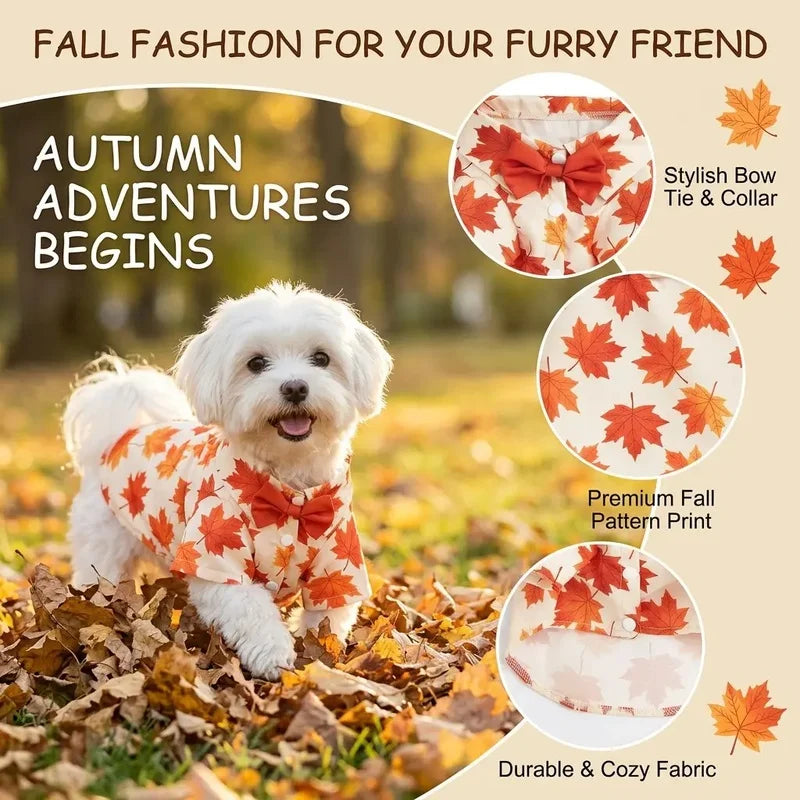 Maple Leaf Pet Shirt with Bowtie | Fall Thanksgiving Dog & Cat Apparel