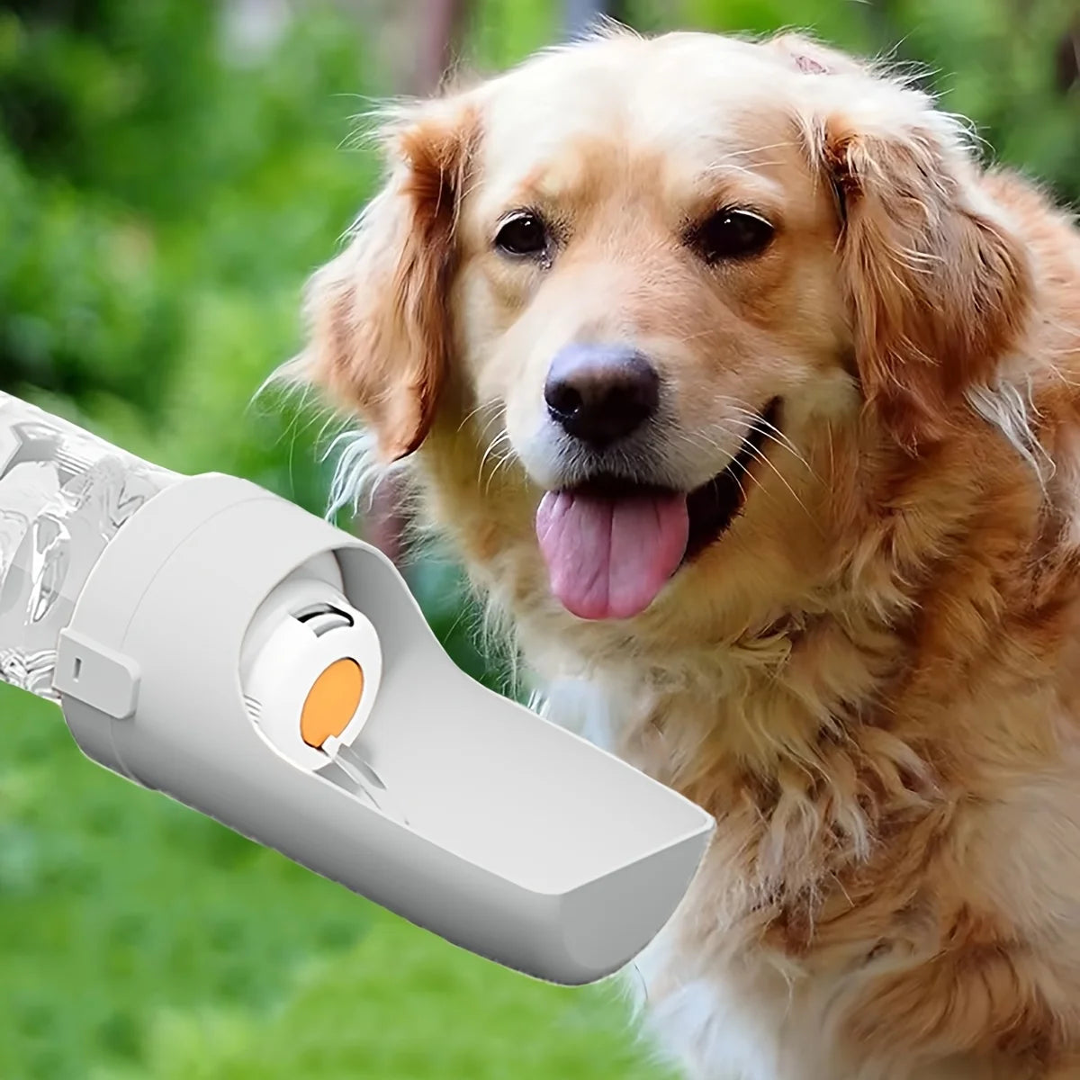 Portable Dog Water Bottle for Outdoor Use