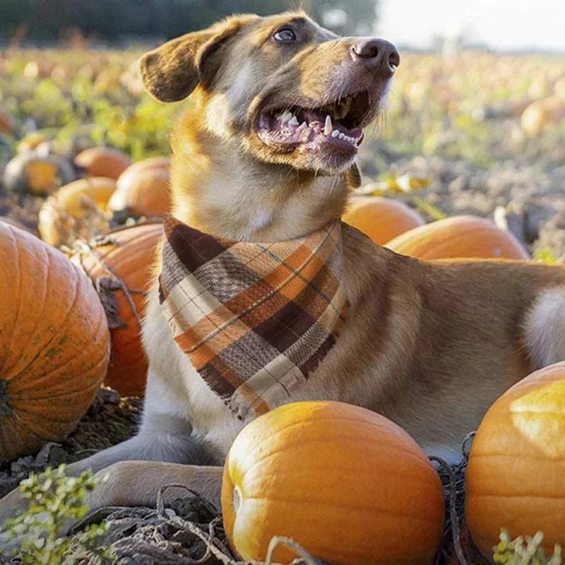 Tassel Dog Bandana for Medium & Large Dogs