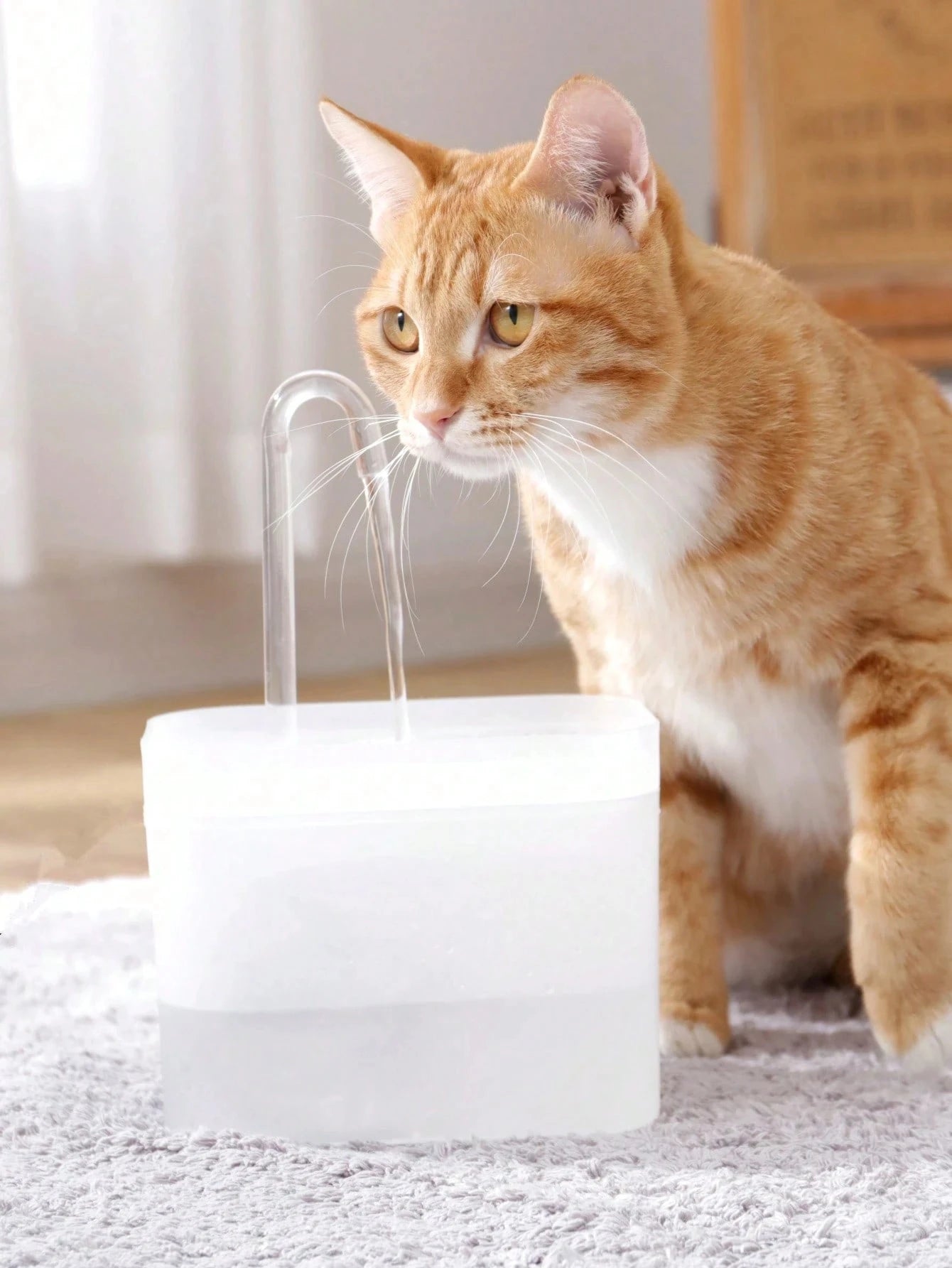 Automatic Pet Water Fountain