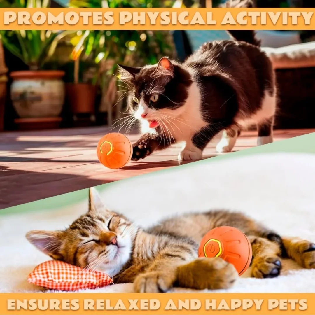 Electric Gravity Bouncing Ball for Pets