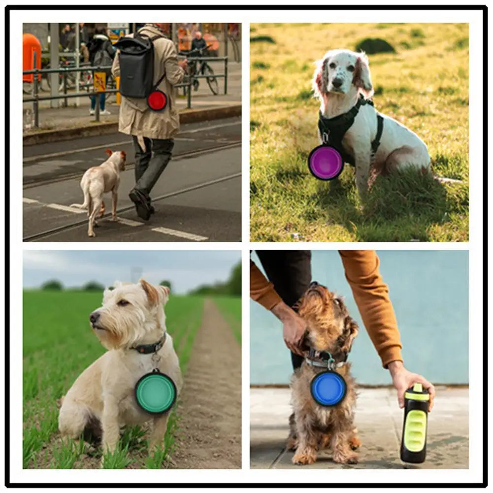 Collapsible Pet Travel Bowl with Carabiner Clip