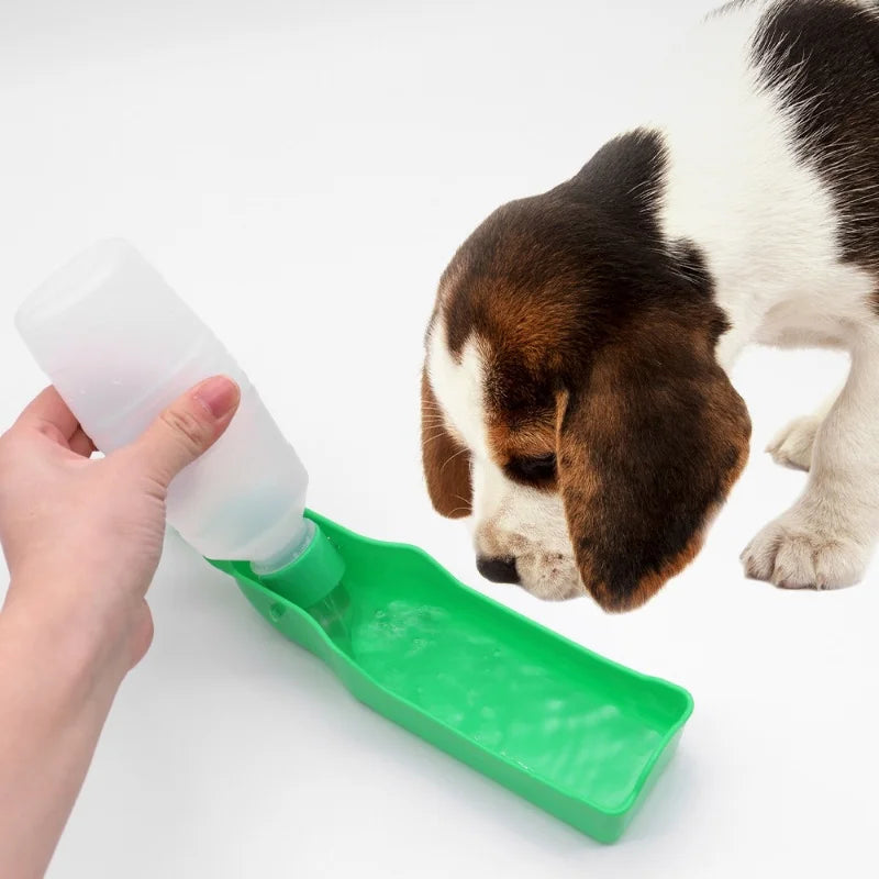 Travel Pet Water Bottle & Feeding Cup