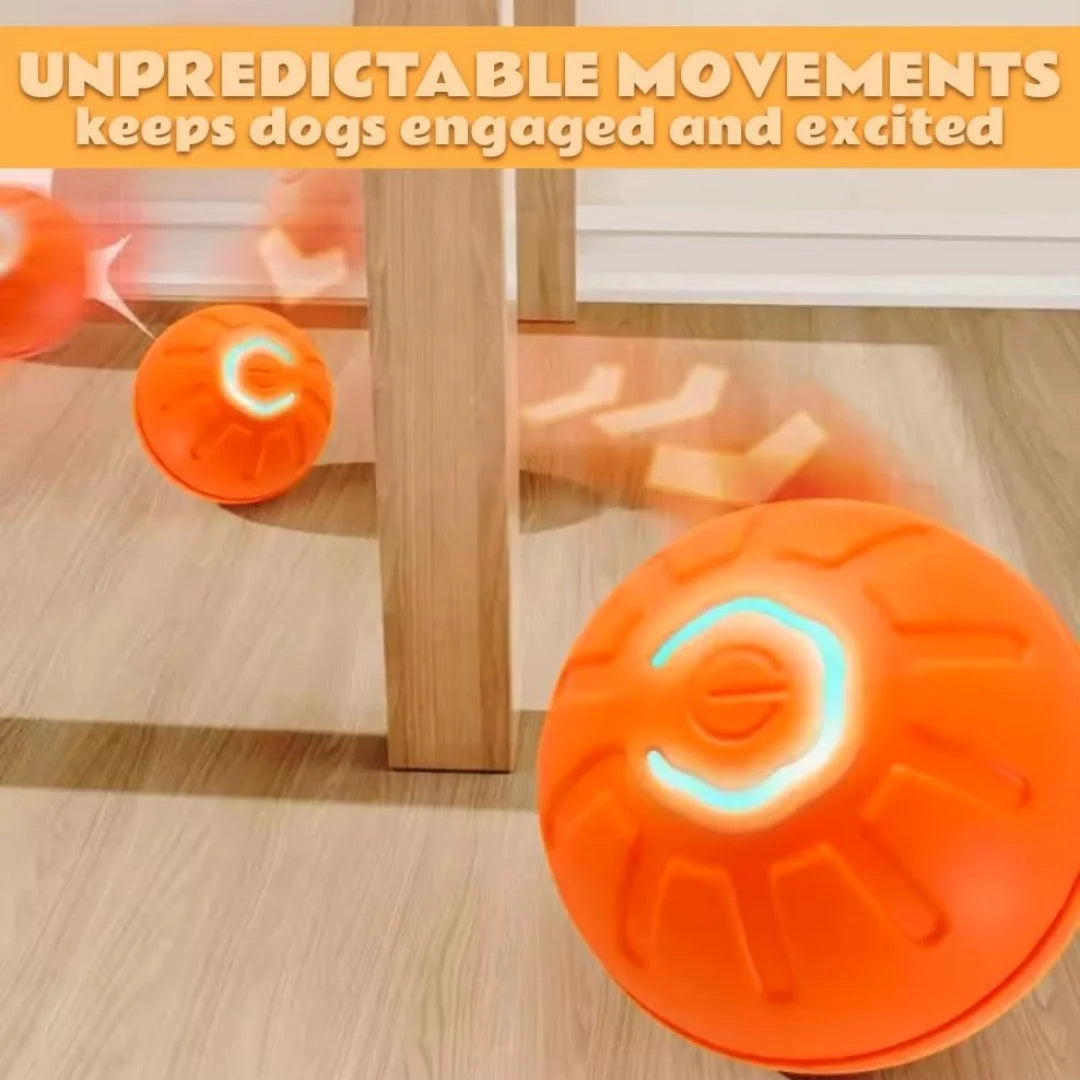 Electric Gravity Bouncing Ball for Pets
