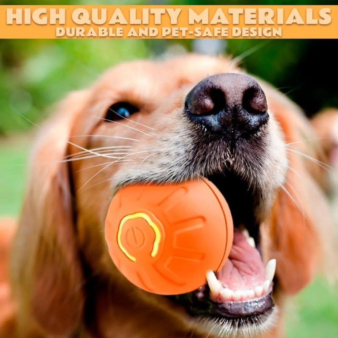 Electric Gravity Bouncing Ball for Pets