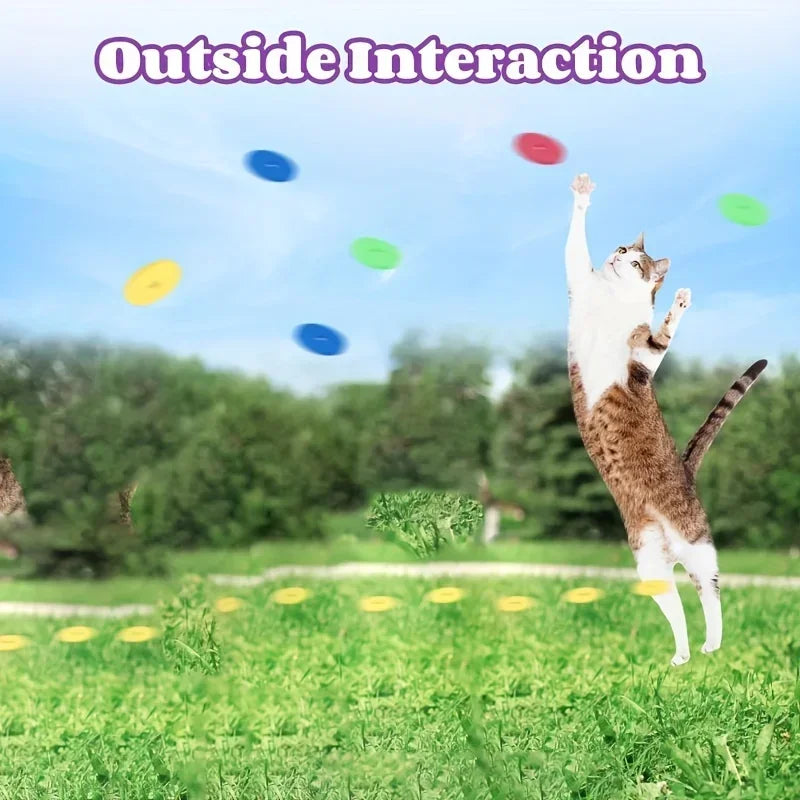 Flying Disc Launcher Toy for Cats & Dogs