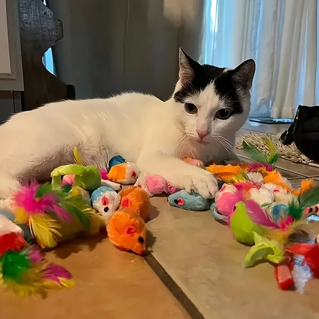 Mixed Cat Toy Pack (Plastic & Plush)