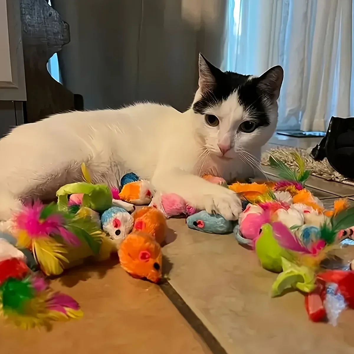Mixed Cat Toy Pack (Plastic & Plush)